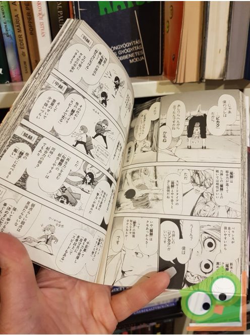 Ishida Sui: Tokyo Ghoul Vol 6. (japán nyelvű manga)