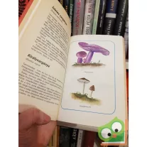 Tolnai Kálmán: Erdő, mező ajándékai