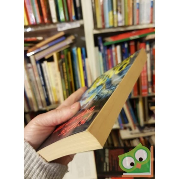 Stephen King: Tom Gordon, segíts! (Ritka)