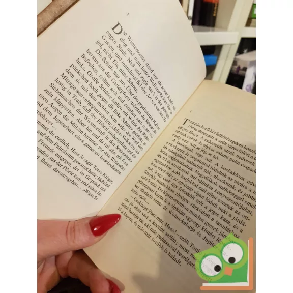 Thomas Mann: Tonio Kröger