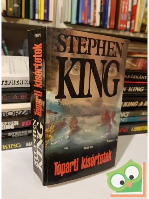 Stephen King: Tóparti kísértetek