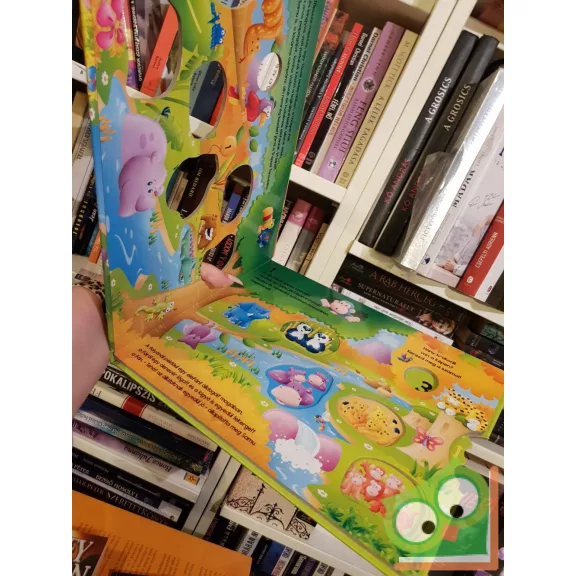 Tom James: Trópusi Tanoda (új könyv)