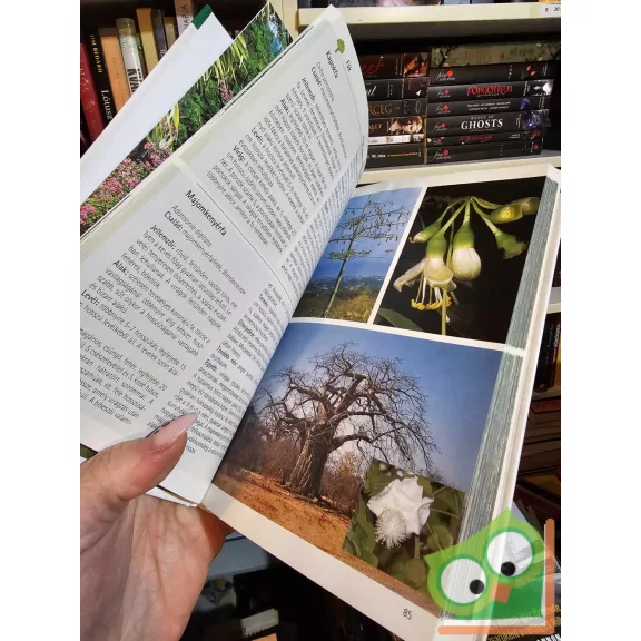 Jens G. Rohwer: A trópusok növényei (Természetkalauz)