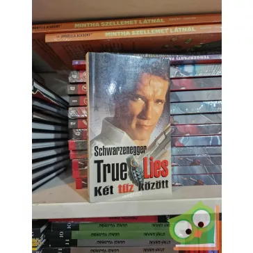   Dewey Gram, Duane Dell'amico: True Lies - Két tűz között (filmes borító)