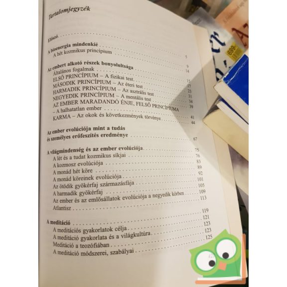 Bíró Dénes: A tudatra ébresztés energiája (Ritka)