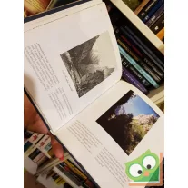 Lugosi Lugo László: Tükörképek