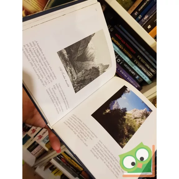 Lugosi Lugo László: Tükörképek