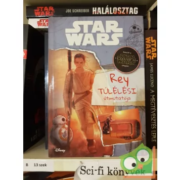 Jason Fry: Rey túlélési útmutatója