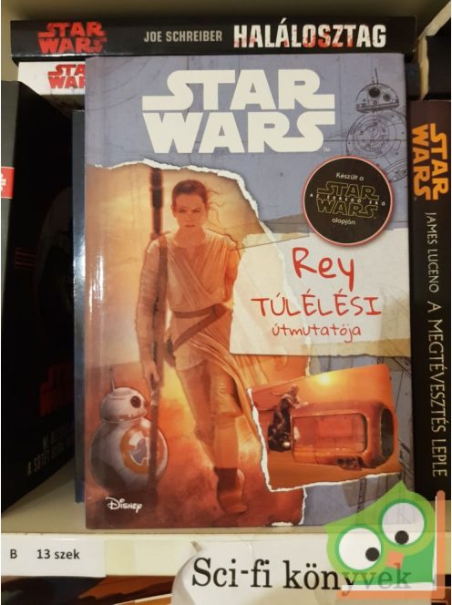 Jason Fry: Rey túlélési útmutatója