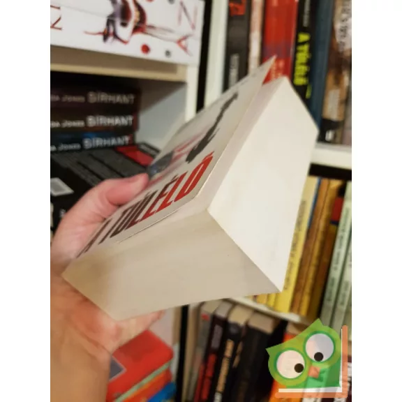 David Baldacci: A túlélő