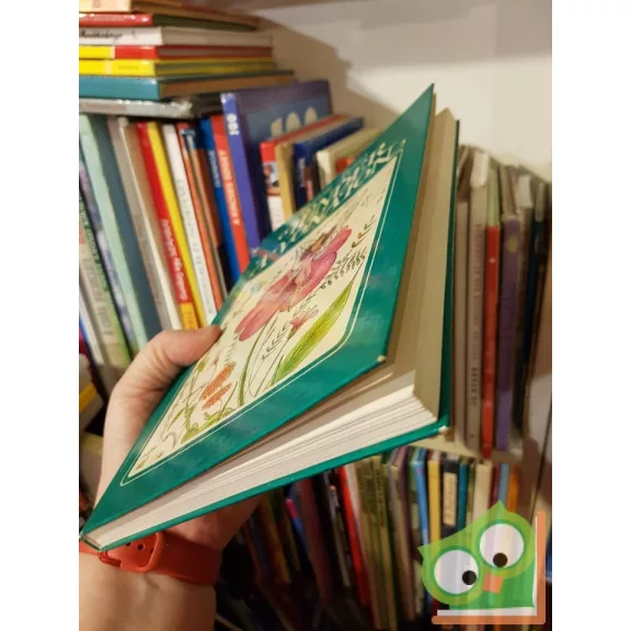 Bálint Ágnes: Tündér a vonaton