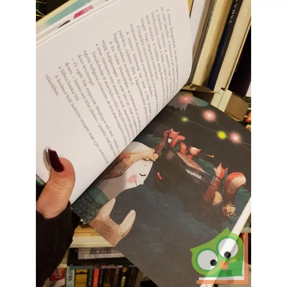 Domonyi Rita: Tündérbodár