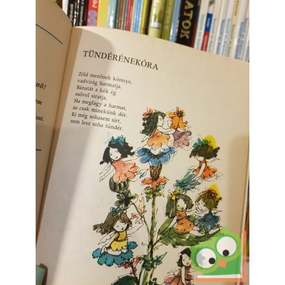 Rigó Béla: Tündériskola