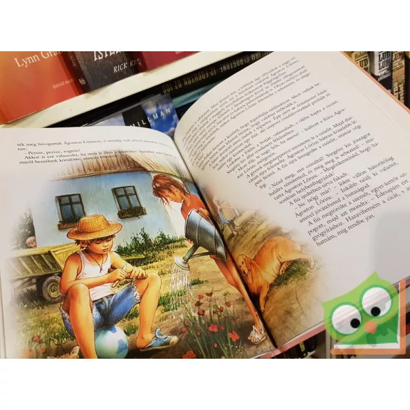 Dobos Edit: Tündérmanók meséi