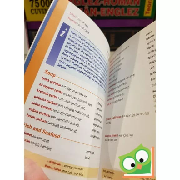 Turkish Phrase Book & Dictionary