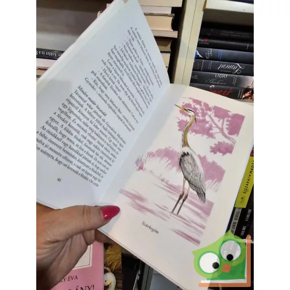 Lázár Ervin: Tüskés varabin (ritka)