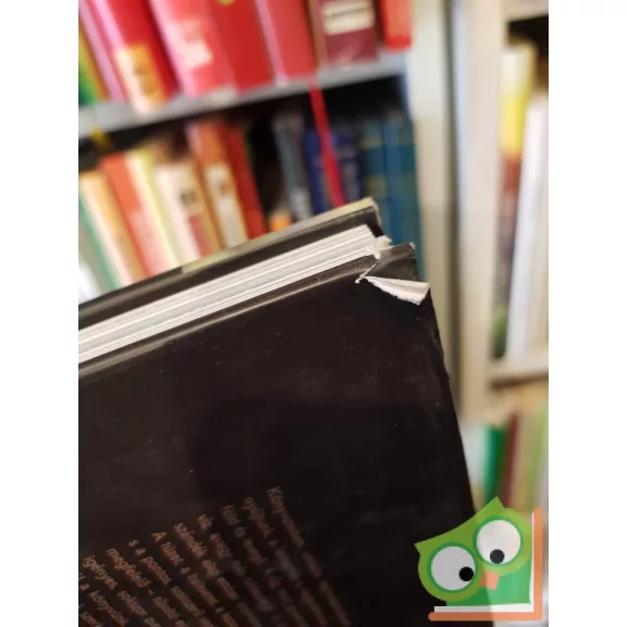 Berki Imre - Bérczi László - Borsos Mihály: Tűzoltó szerkocsik Magyarországon