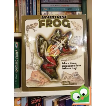Aimee Bakken: Uncover a Frog  (3D)