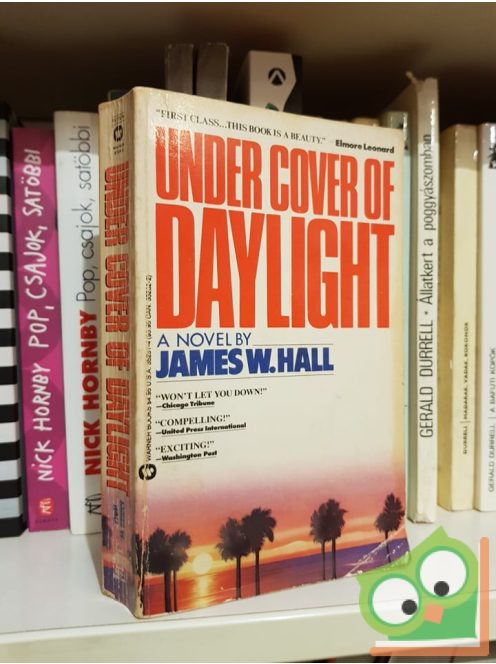 James W. Hall: Under Cover of Daylight
