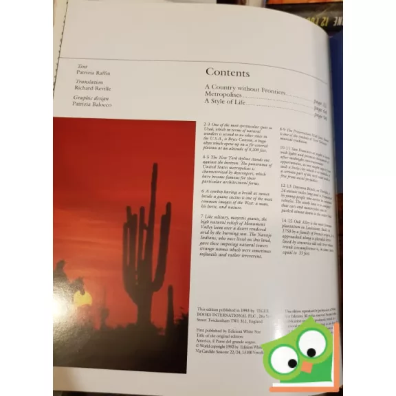 Patrizia Raffin: United States of America(Tiger Books)