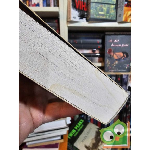 Rüdiger Dahlke - Margit Dahlke - Volker Zahn: Út az életbe - A születés teljessége (ritka)