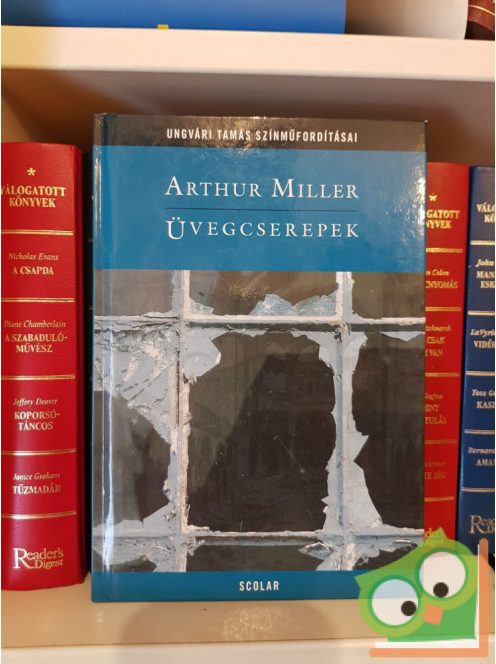 Arthur Miller: Üvegcserepek