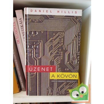 Daniel Hillis: Üzenet a kövön (Világ-Egyetem sorozat)