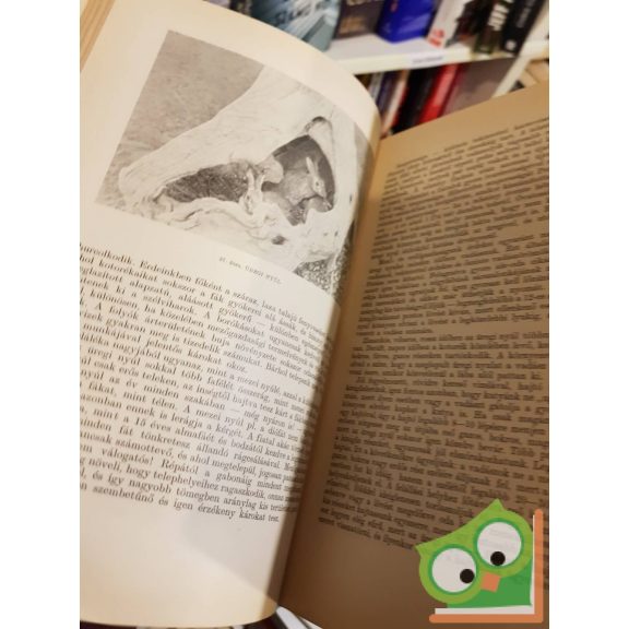 Bertóti István: Vadgazdálkodás és vadászat (első kiadás)