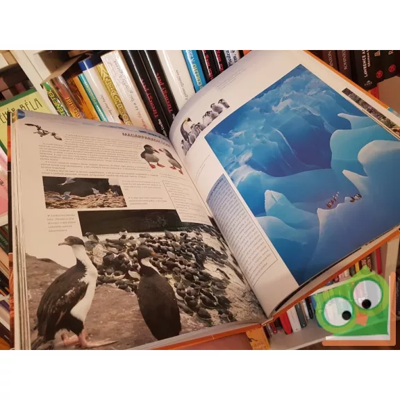 Lerner János (szerk.): Vadonjárók kalauza