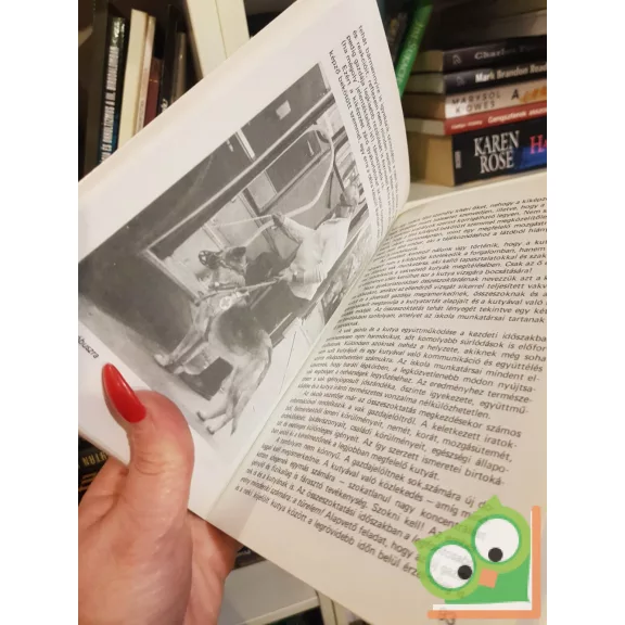 Kováts Zsolt - Zaharovics Mihály: A vakvezető kutya (ritka)