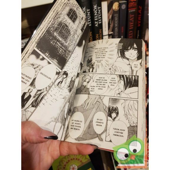 Hino Matsuri: Vampire Knight 12. (Vampire Knight 12.) (magyar nyelvű manga)