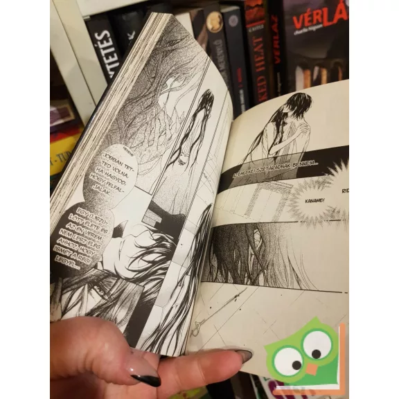 Hino Matsuri: Vampire Knight 13. (Vampire Knight 13.) (magyar nyelvű manga)