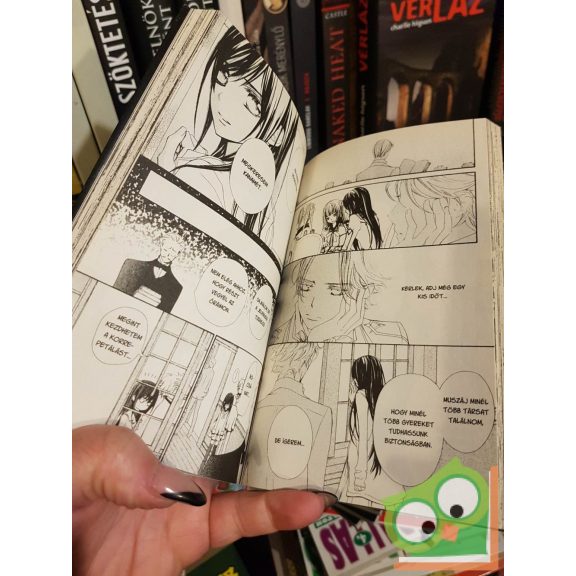 Hino Matsuri: Vampire Knight 15. (Vampire Knight 15.) (magyar nyelvű manga)