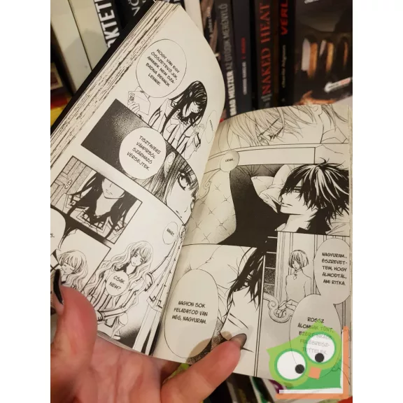 Hino Matsuri: Vampire Knight 16. (Vampire Knight 16.) (magyar nyelvű manga)