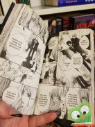 Hino Matsuri: Vampire Knight 17. (Vampire Knight 17.) (magyar nyelvű manga)
