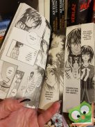 Hino Matsuri: Vampire Knight 2. (Vampire Knight 2.) (magyar nyelvű manga)