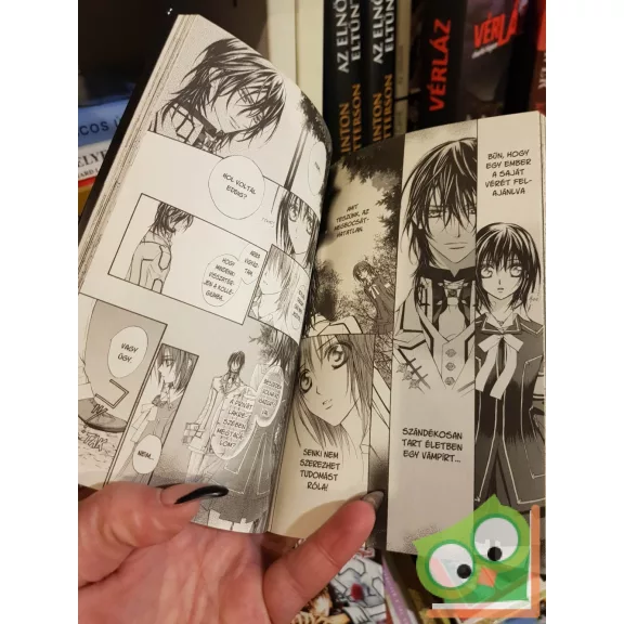 Hino Matsuri: Vampire Knight 2. (Vampire Knight 2.) (magyar nyelvű manga)