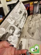 Hino Matsuri: Vampire Knight 3. (Vampire Knight 3.) (magyar nyelvű manga)