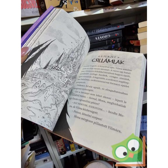 Laura Ellen Anderson: Vámpyr Vilma és az Úrikornisok (Vámpyr Vilma 2.) (9 éves kortól)