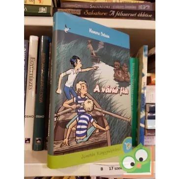 Nemere István: A várúr fia (A fantasztikus nagynéni 2.)