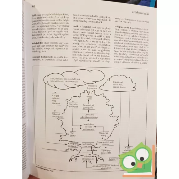 Debreczeni Katalin (szerk.): Vasúti környezetvédelmi lexikon A-tól Z-ig