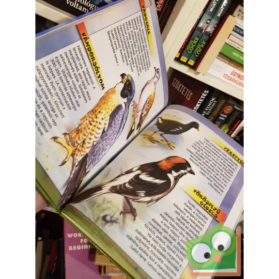 Schmidt Egon: Védett madaraink kislexikona