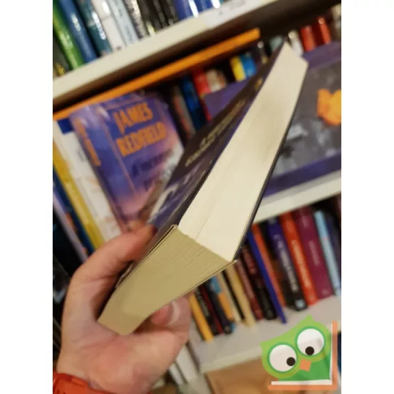 Douglas Preston, Lincoln Child: A végtelen éjszaka városa (Világsikerek)