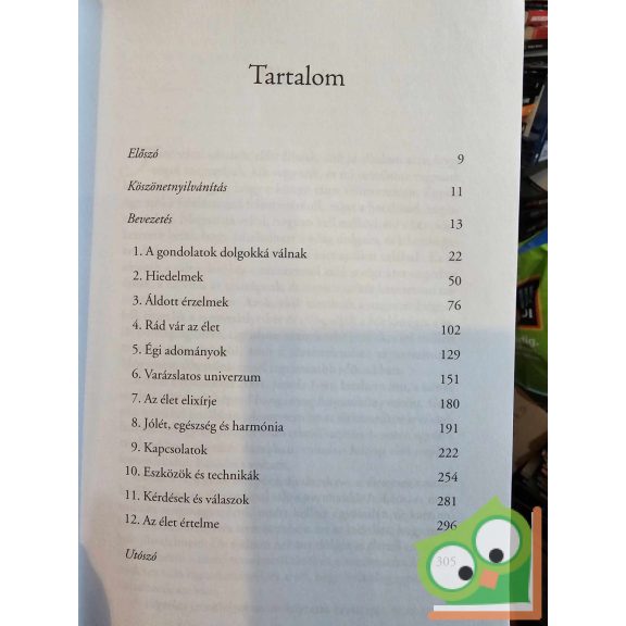 Mike Dooley: Végtelen lehetőségek (nagyon ritka )