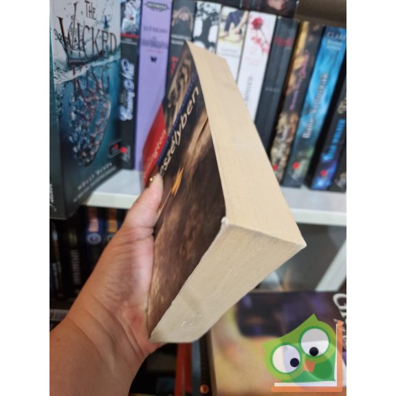 Stella Rimington: Végveszélyben (Liz Carlyle 1.)