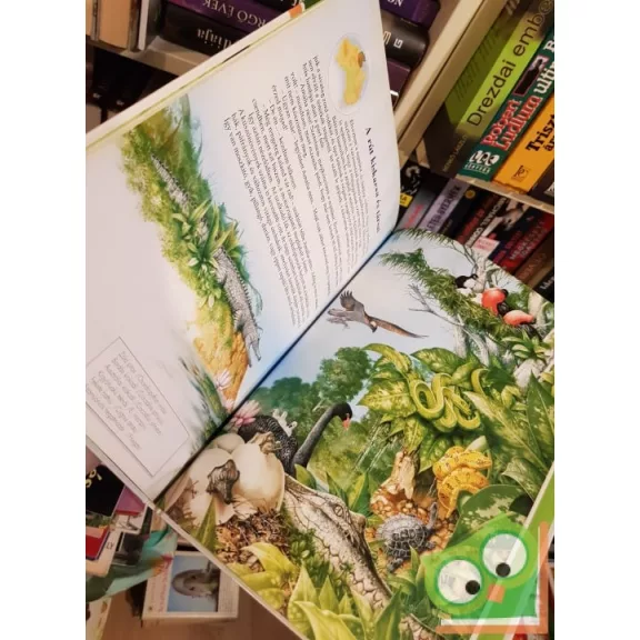 Szabóné Debreceni Erzsébet, Veres László: Ausztrália (Mesék Sir Mortimer útinaplói alapján)