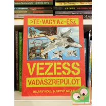   Hilary Koll, Steve Mills: Vezess vadászrepülőt (Te vagy az ész)
