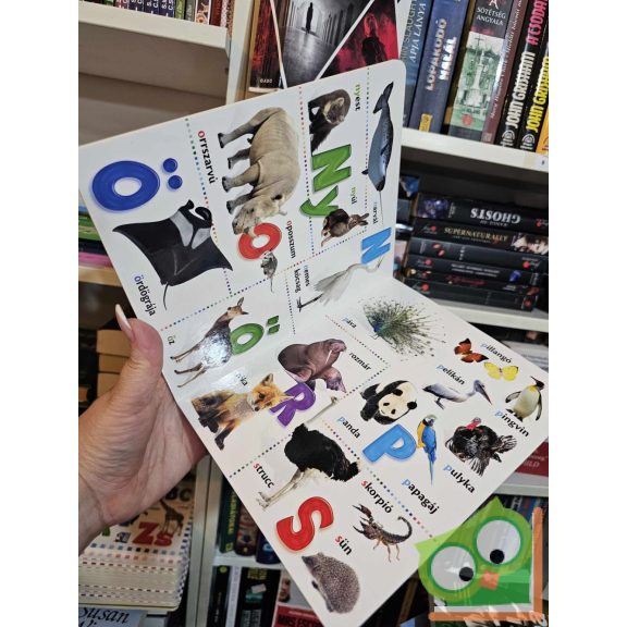 Állat ABC - vidám, képes lapozgató (keménylapos, új)