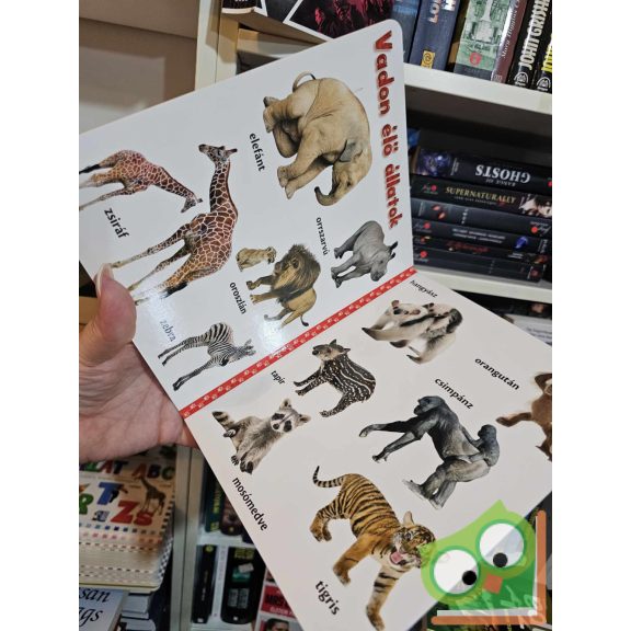 Állatkölykök - vidám, képes lapozgató (keménylapos, új)