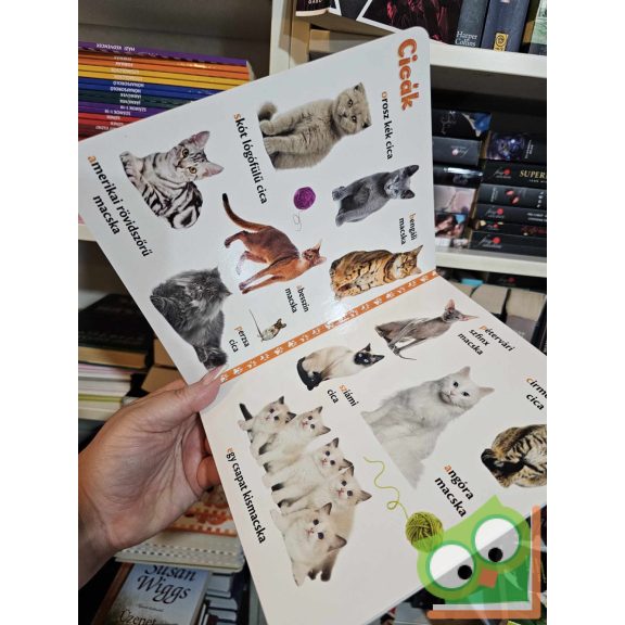 Házi kedvencek - vidám, képes lapozgató (keménylapos, új)